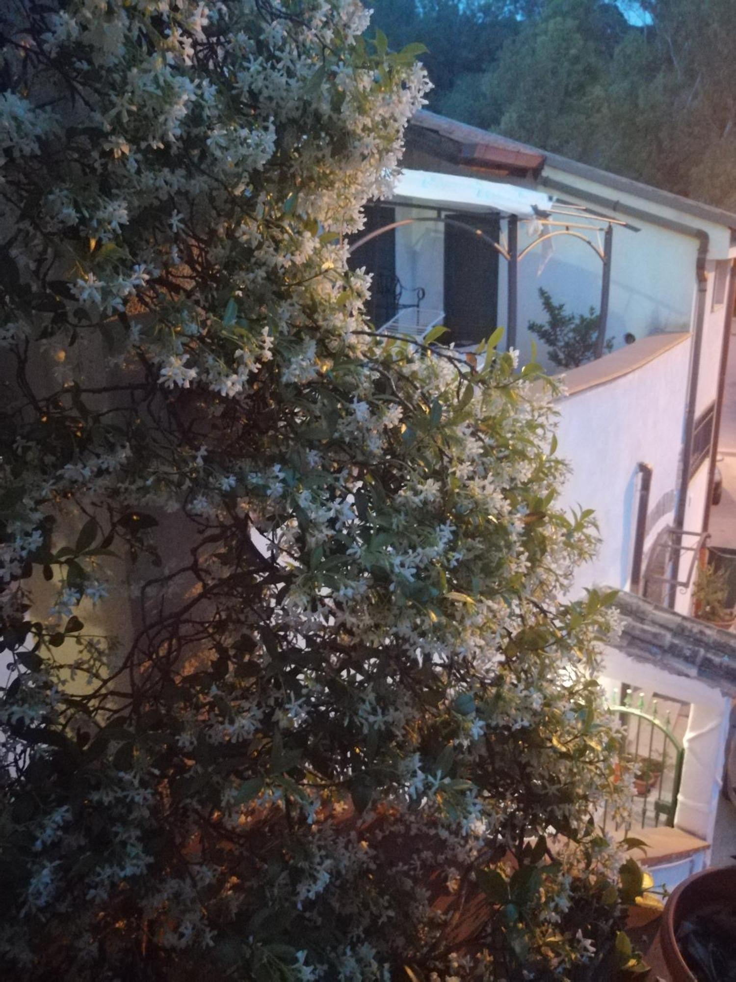 B&B Moscani Salerno Exterior foto